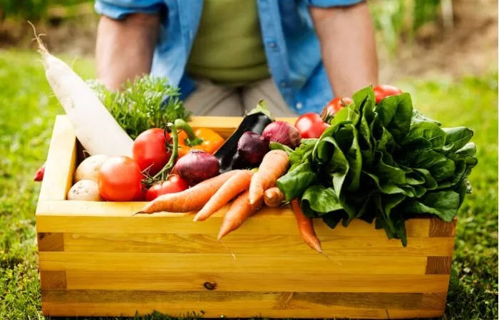 Most profitable Vegetables to grow in Zambia