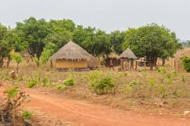 How to acquire traditional land in Zambia